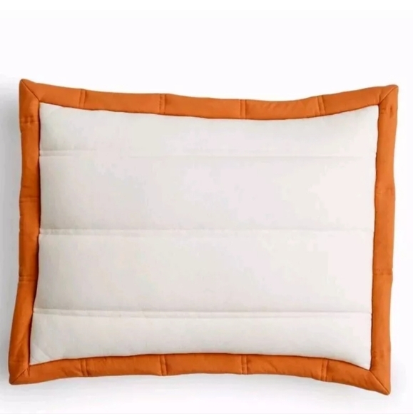 New OFFHOURS West Elm Renaissance Organic Standard Pillow Sham Ivory Peach Trim - Picture 2 of 6